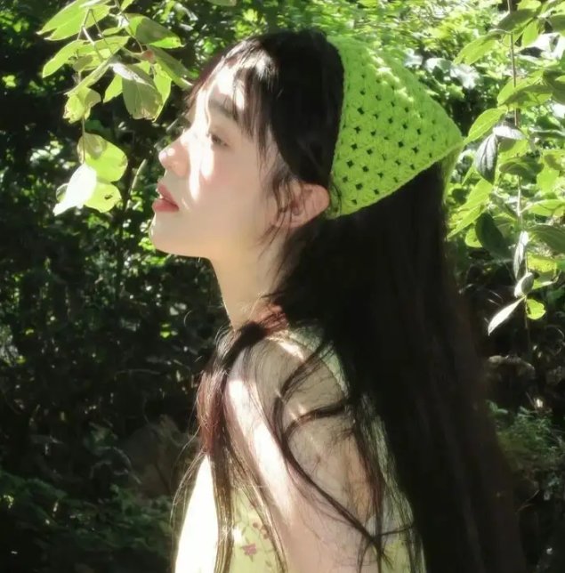 战地神探第八季